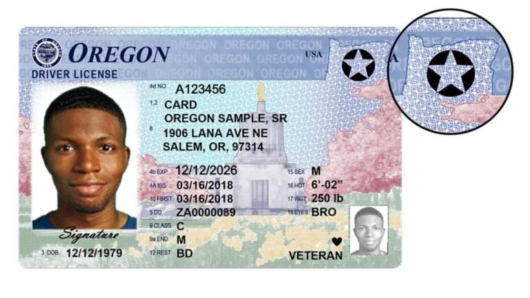 Que Tipo de Dívida Pode Levar à Perda da CNH No Brasil 5 Que Tipo de Dívida Pode Levar à Perda da CNH No Brasil