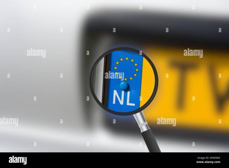 Como Consultar Renavam Pela Placa Gratuitamente Online