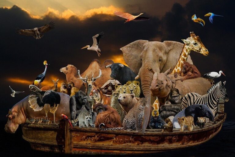 Qual animal Noé não deixou entrar na arca e por quê 3 Qual animal Noé não deixou entrar na arca e por quê